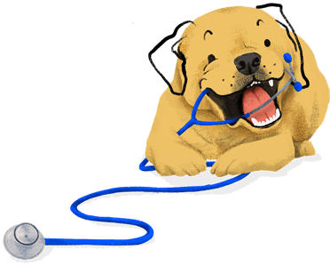LVS_dog_(s)-png
