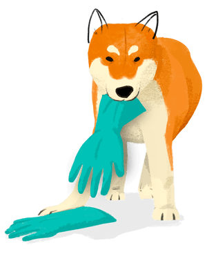 Shiba_gloves