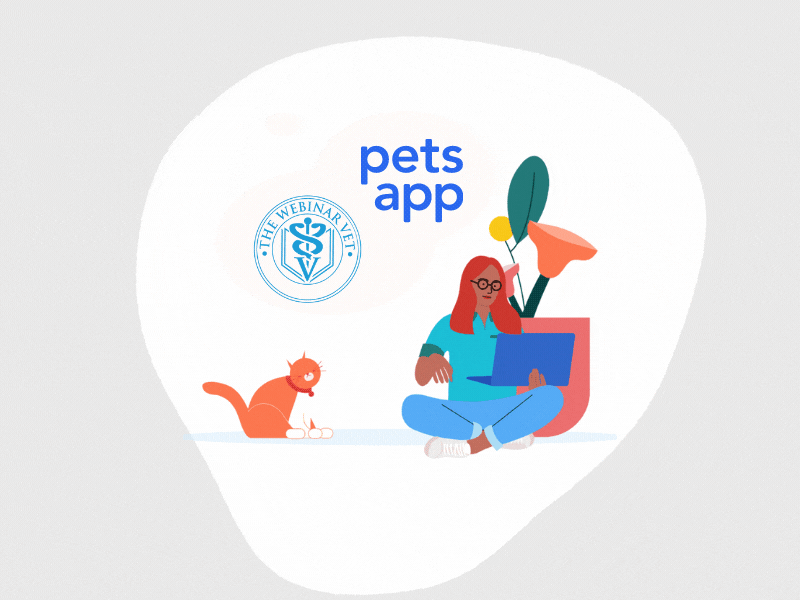 two petsapp together